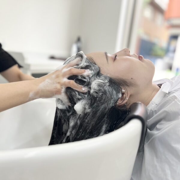 {{ $property->title }}の写真