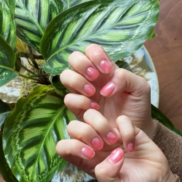 {{ $property->title }}の写真