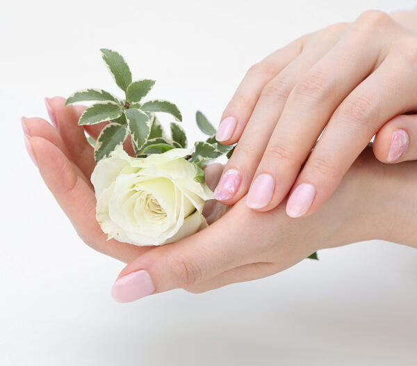 {{ $property->title }}の写真