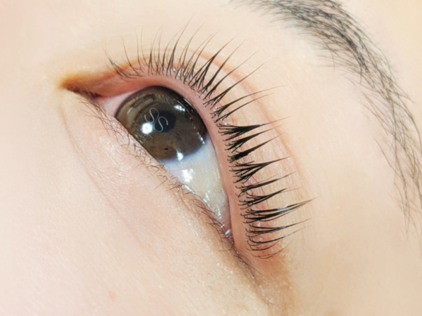 {{ $property->title }}の写真