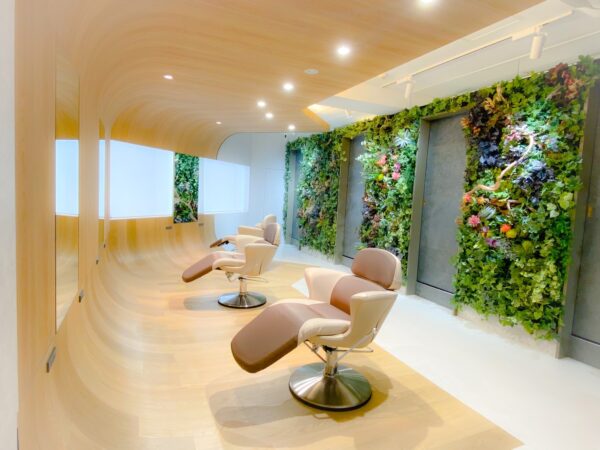 {{ $property->title }}の写真