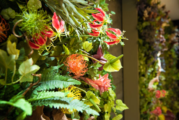 {{ $property->title }}の写真